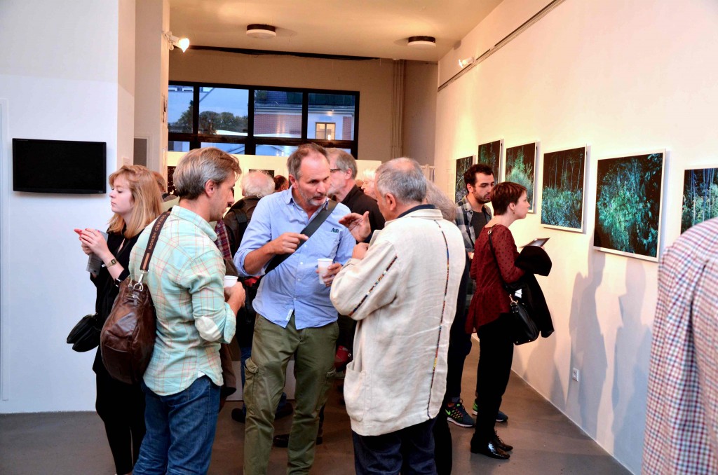 Обои vernissage 168275 00